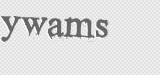 CAPTCHA code